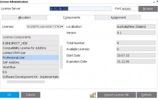 SAP Business One admin