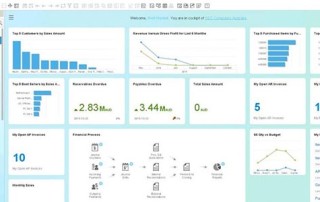 SAP Business One HANA Cockpit: