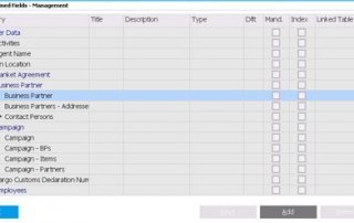 SAP Business One - Creating User Defined Fields