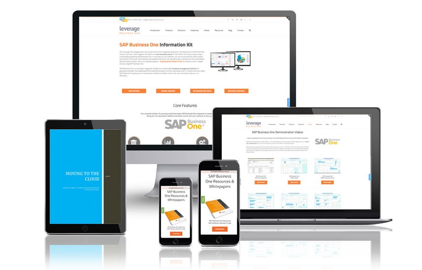 SAP Business One Info Kit