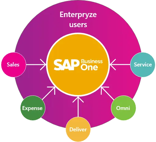 How does Enterpryze for SAP Business One work?